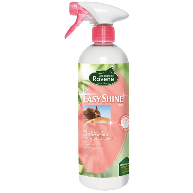 EASY SHINE RAVENE 750 ML Shampoo e Districanti 